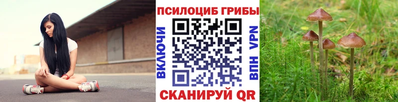 Галлюциногенные грибы прущие грибы  Бикин 